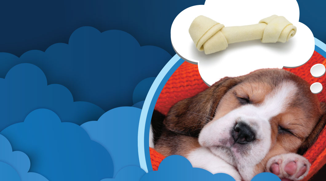 Image of a puppy dreaming of a bone