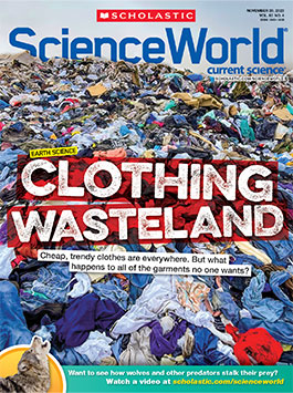 Magazine Issue Cover