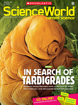 Magazine Issue Cover