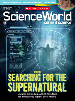 Magazine Issue Cover